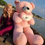 5 Feet Pink Colour Teddy