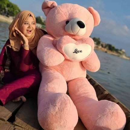 5 Feet Pink Colour Teddy